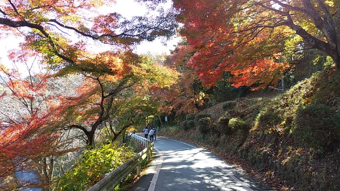 ハイキング スタート