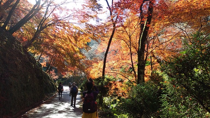 紅葉 吉野温泉元湯付近