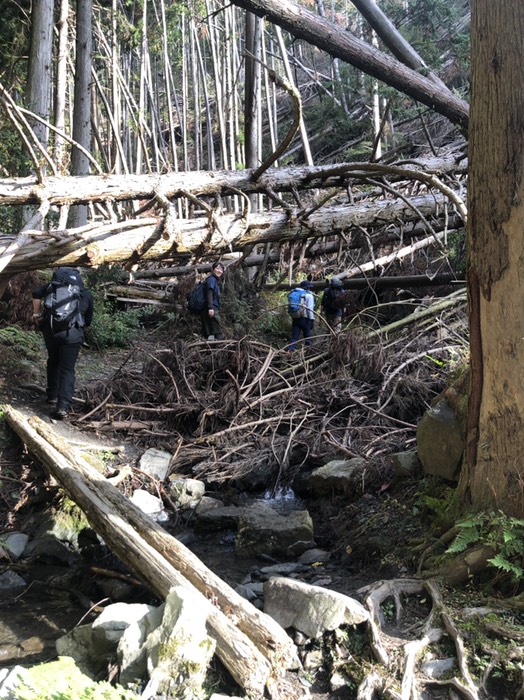 アスレチックゾーン