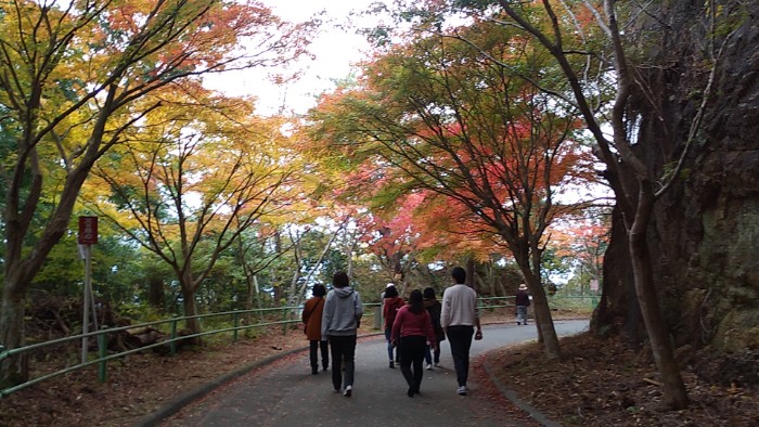 紅葉 参道
