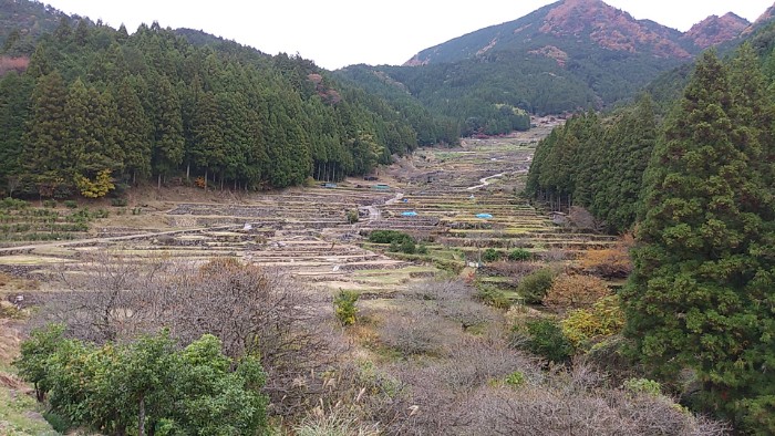 四谷千枚田