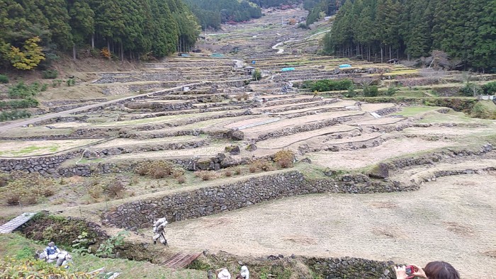 四谷千枚田