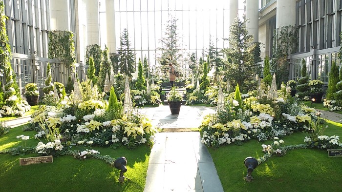 奇跡の星の植物館