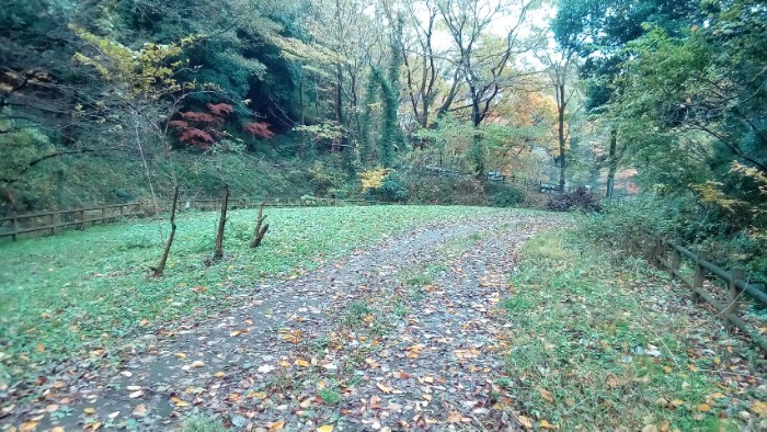 階段おりて右手