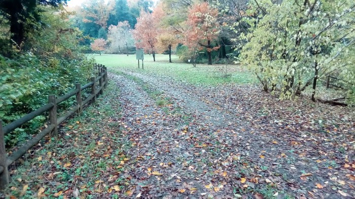 階段おりて左手