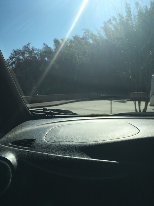 ヒルデモアこどもの国