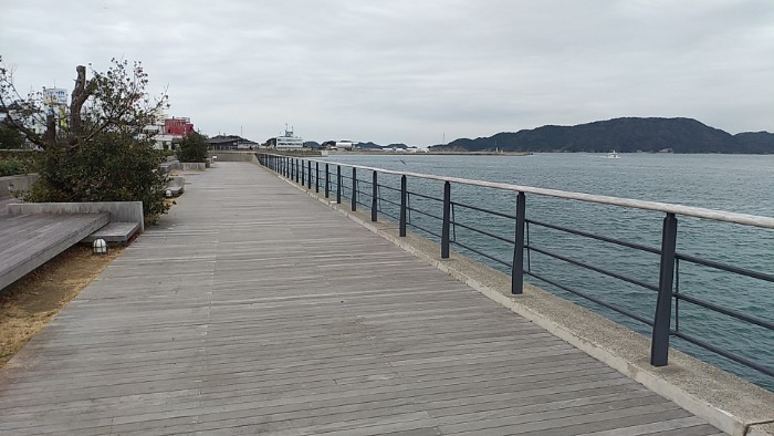 かもめの散歩道
