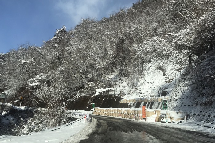 だいぶ雪道ぽくなってきました♪