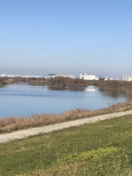 江戸川に中洲出現