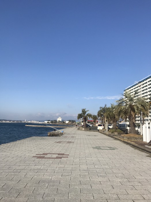 弁天島南端から西を臨む