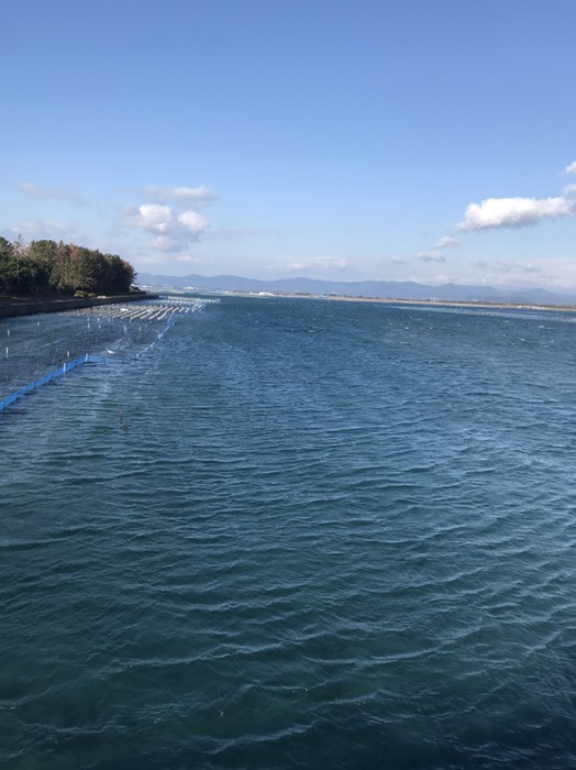 中の島大橋から