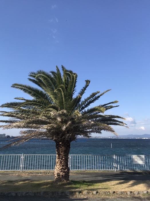 中の島から西を臨む