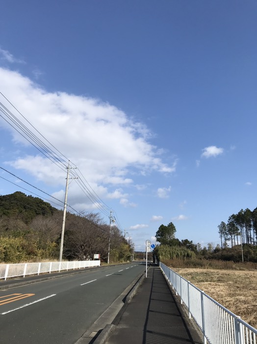 こんな道をしばらく進む