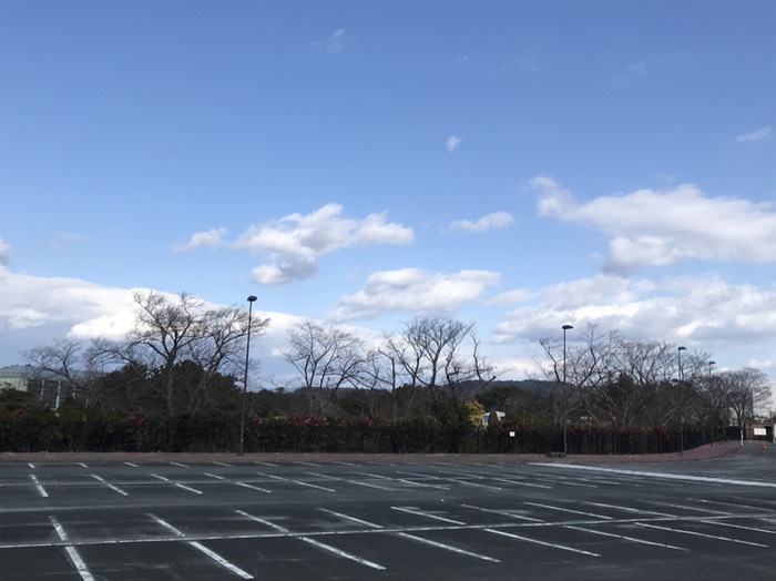 フラワーパーク