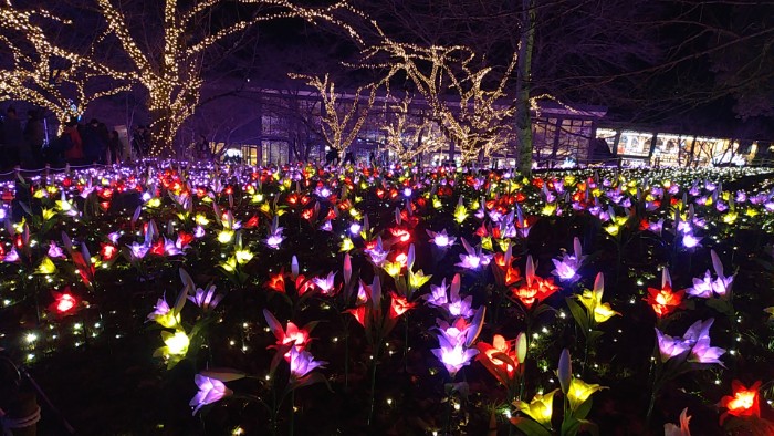 さがみ湖イルミリオン