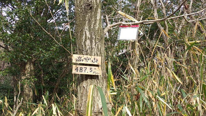 高安山 山頂