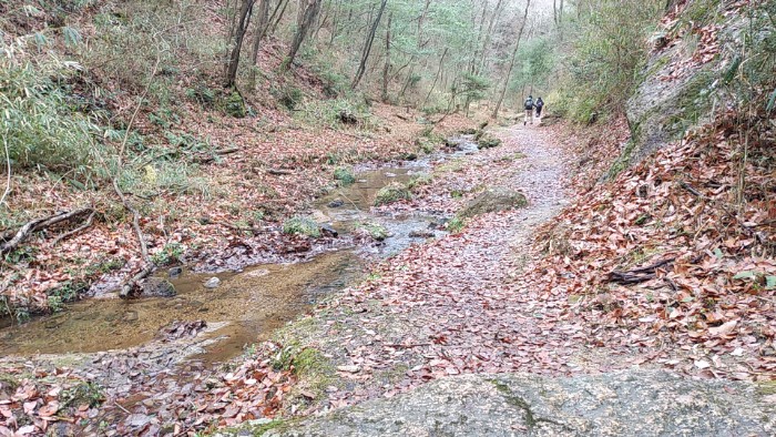 くろんど池ハイキングコース