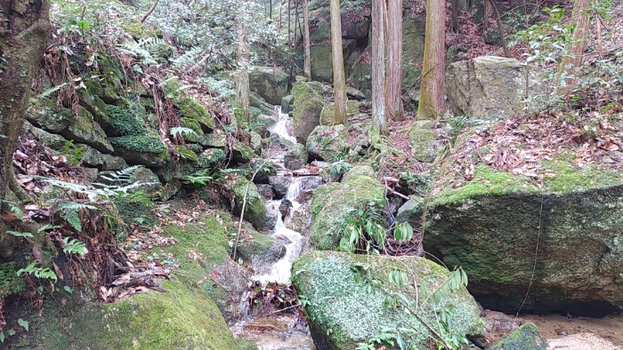 くろんど池ハイキングコース