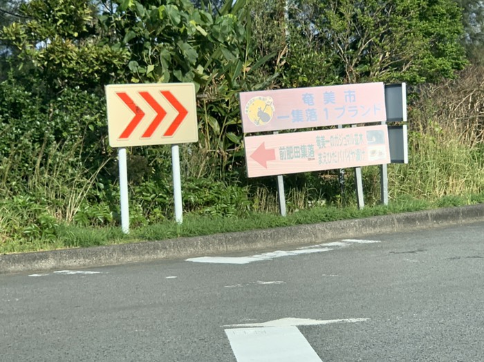 50キロ地点、100キロチーム折り返し