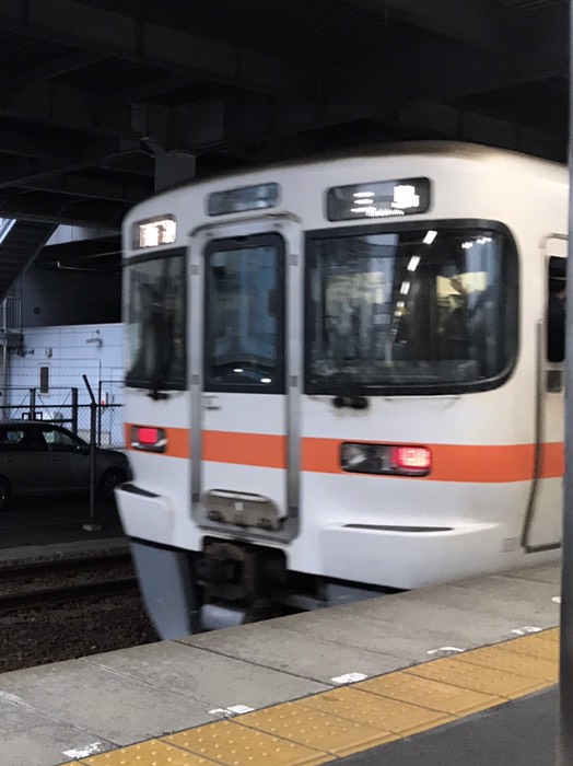 この辺は313系かぁ