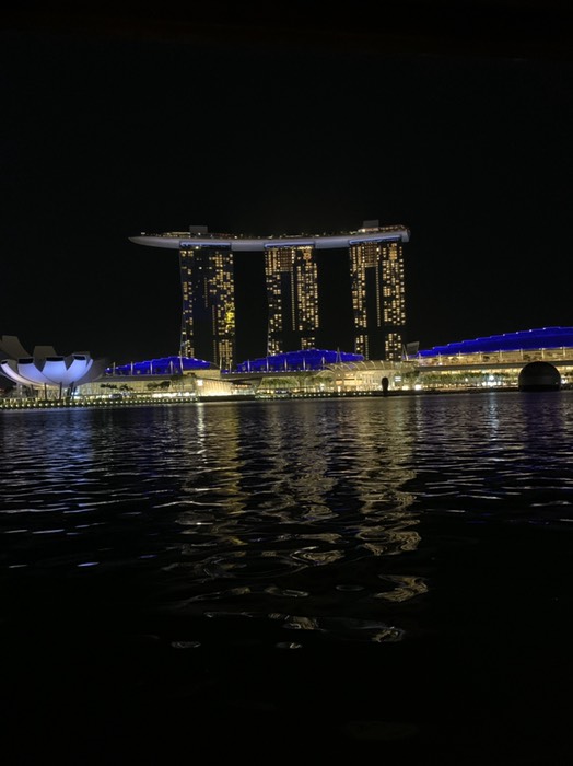 マリナベイサンズ