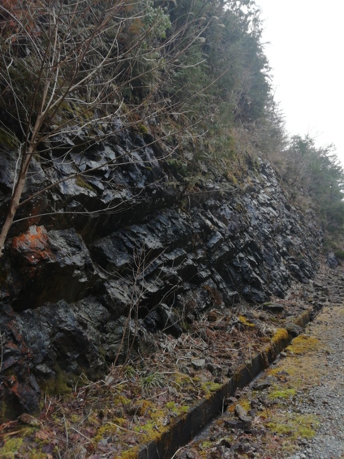 今年も氷ってません⤵️