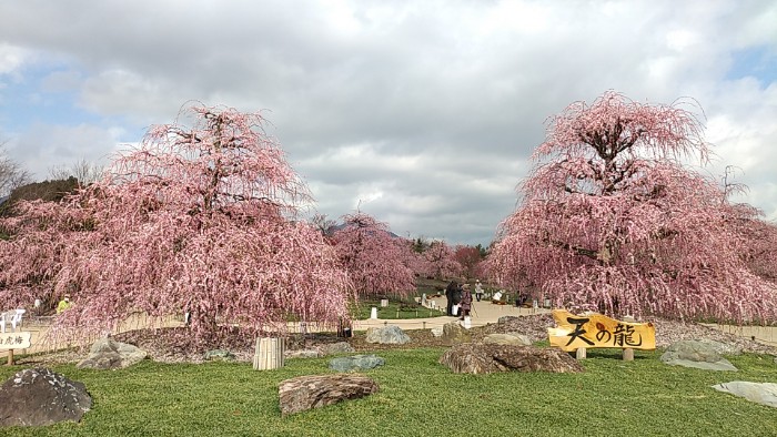 鈴鹿の森庭園 天の龍