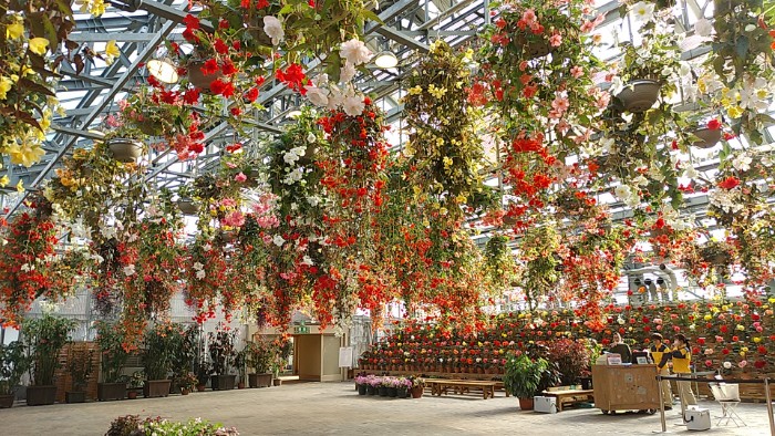 ベゴニアガーデン