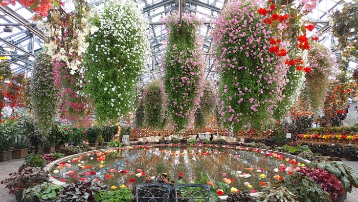 ベゴニアガーデン