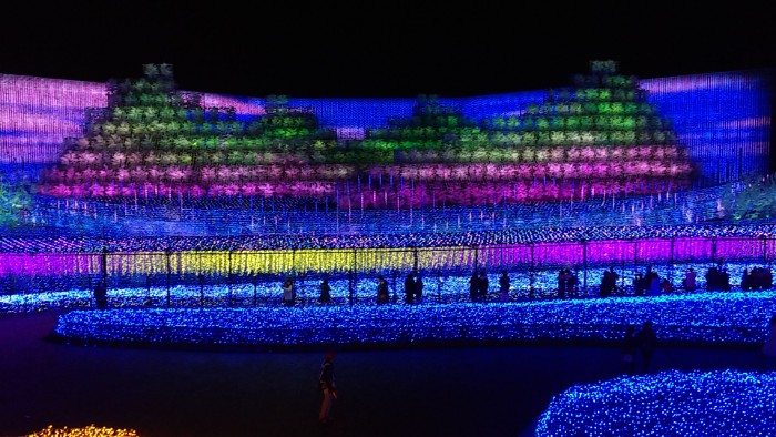 なばなの里イルミネーション 桜