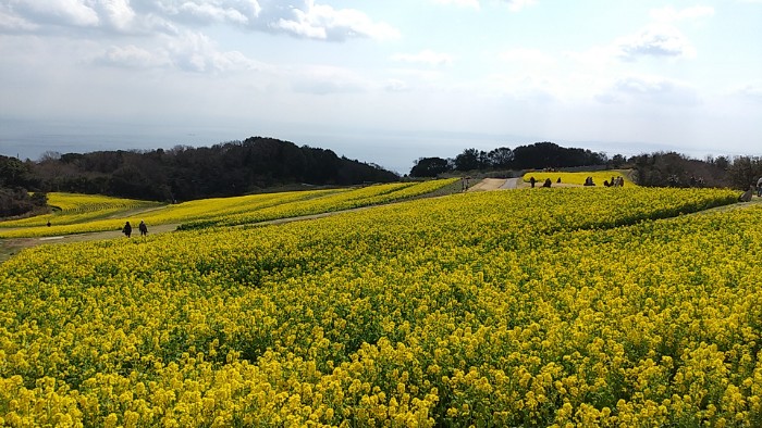 あわじ花さじき