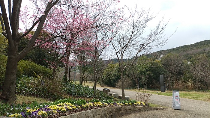 淡路島国営明石海峡公園