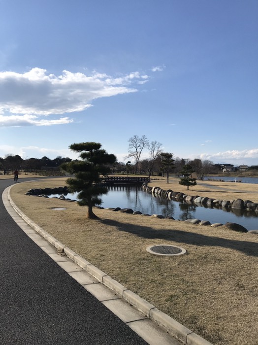 つつじが岡公園
