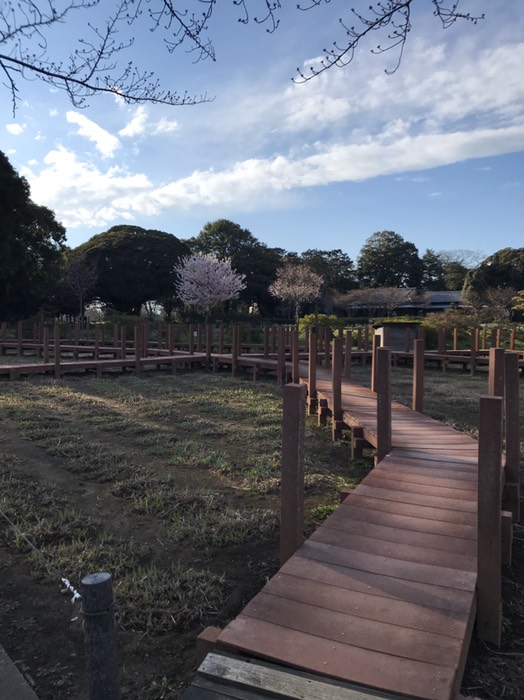 つつじが岡第二公園