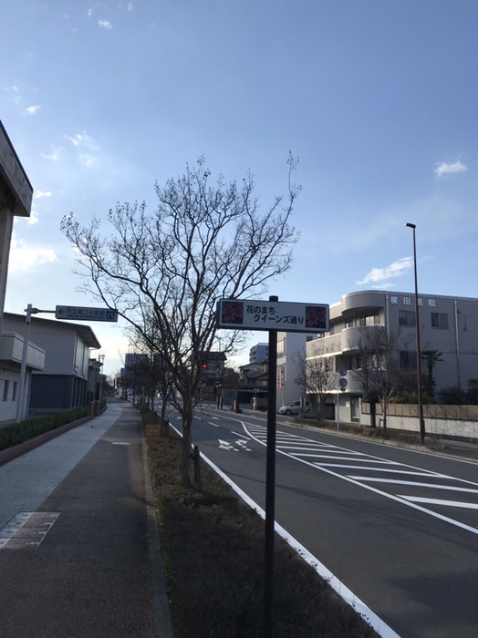 クイーンズ通り