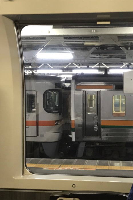 この辺りでは313系と211系がくっついてるみたい