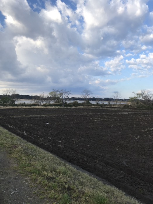 手賀沼遊歩道入口