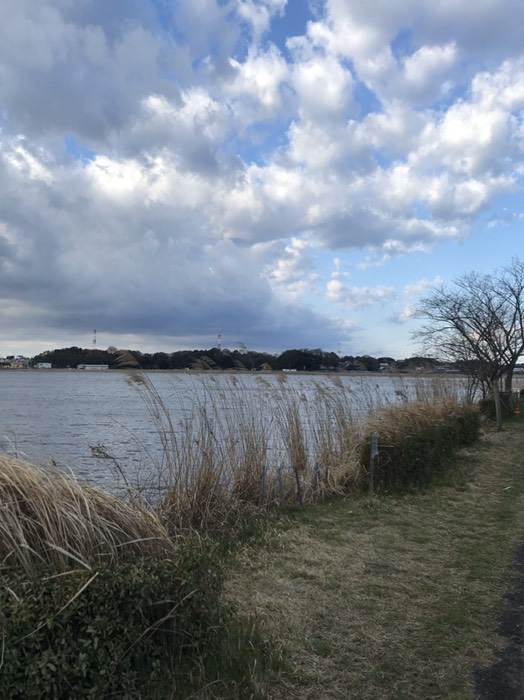 今日は西風が強い