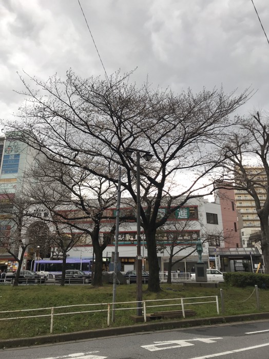 武蔵野線新八柱駅