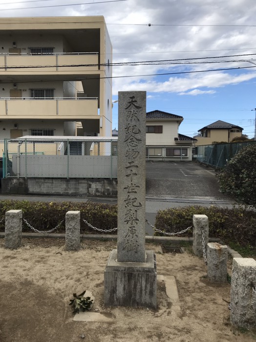 二十世紀梨原樹