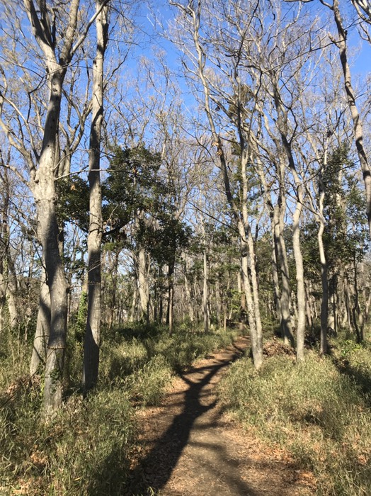 堀之内貝塚公園