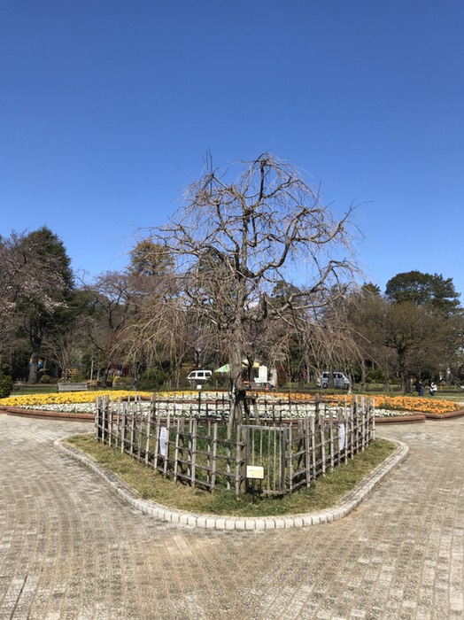 里見公園