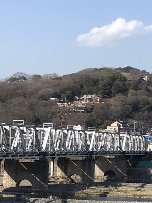 足利織姫神社が見える