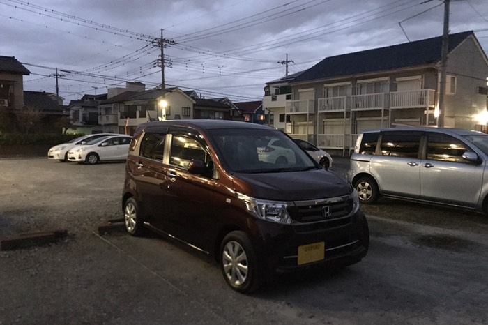 本日の相棒はこのコ