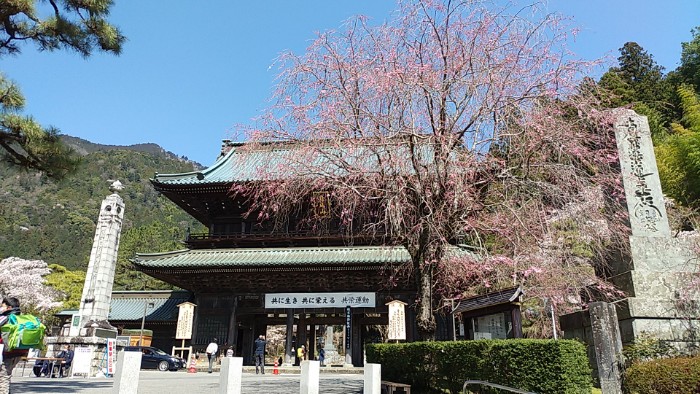 身延山久遠寺 三門