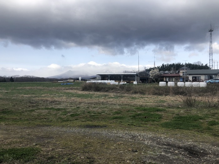 漆塚交差点左折、桜並木