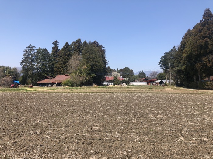 ひまわり接骨院角入った所