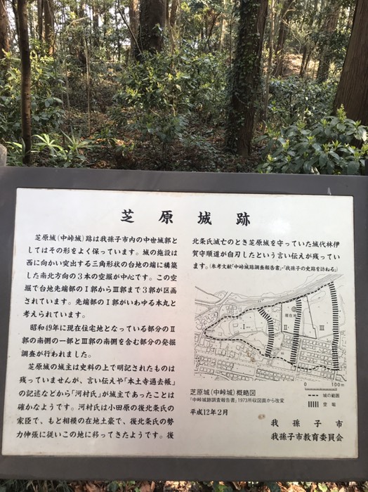 芝原城(中峠城)