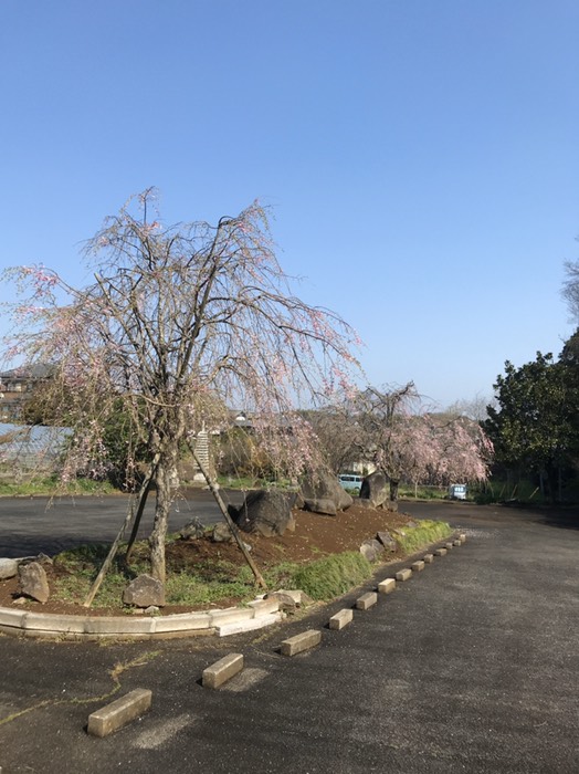 新木・真栄寺近く