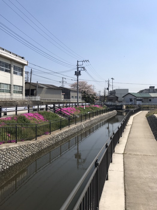 手賀排水機場近く